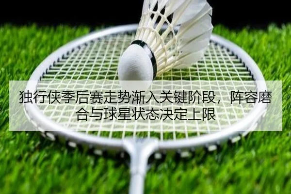 独行侠季后赛走势渐入关键阶段，阵容磨合与球星状态决定上限 | maiqiuzhan